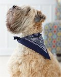 USA-Made Doggie Bandana