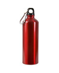 25oz Aluminum Alpine Bottle